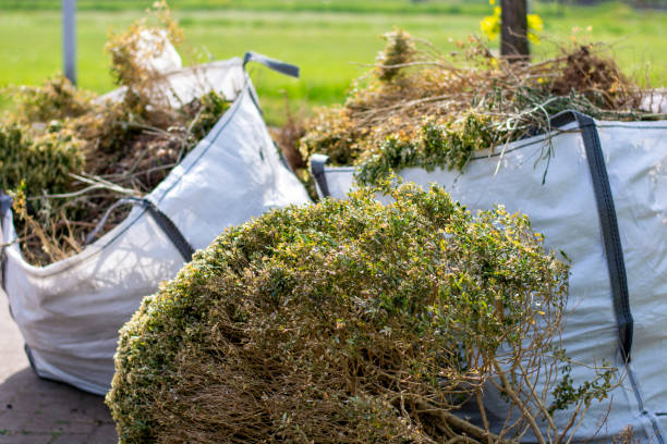 Trusted Sibley, IA Junk Removal Experts